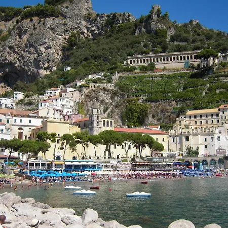 Peonia Amalfi