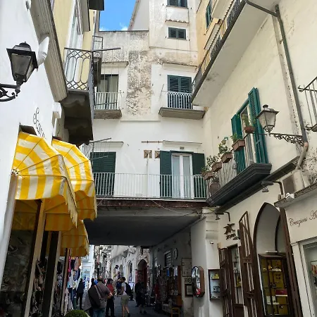 Peonia * Amalfi