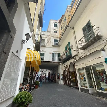 Peonia * Amalfi